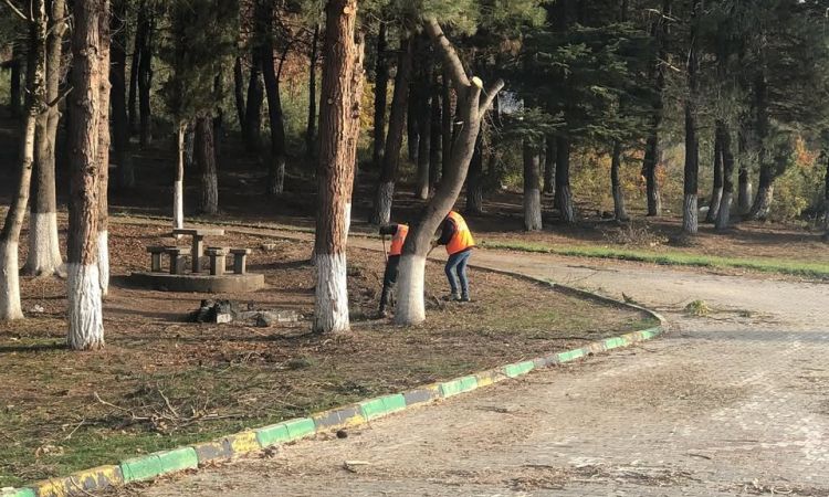 Daha Temiz Bir Çevre Için Güven Park Piknik Ve Mes...