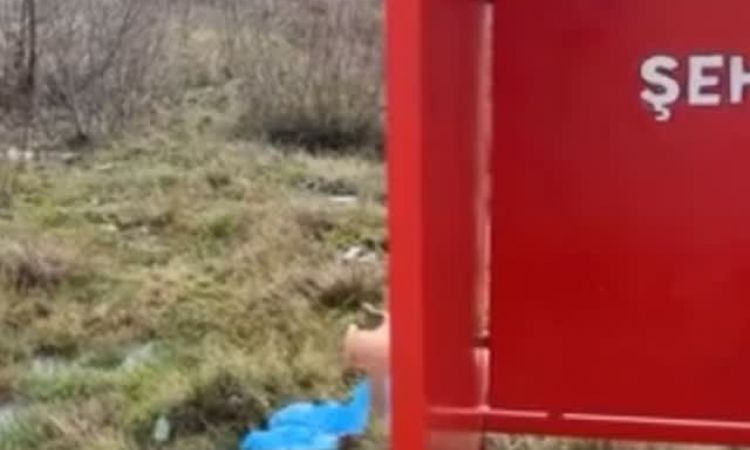 Çevremiz Ve Doğamız Için Sessiz Kalmadık.<br />
da...