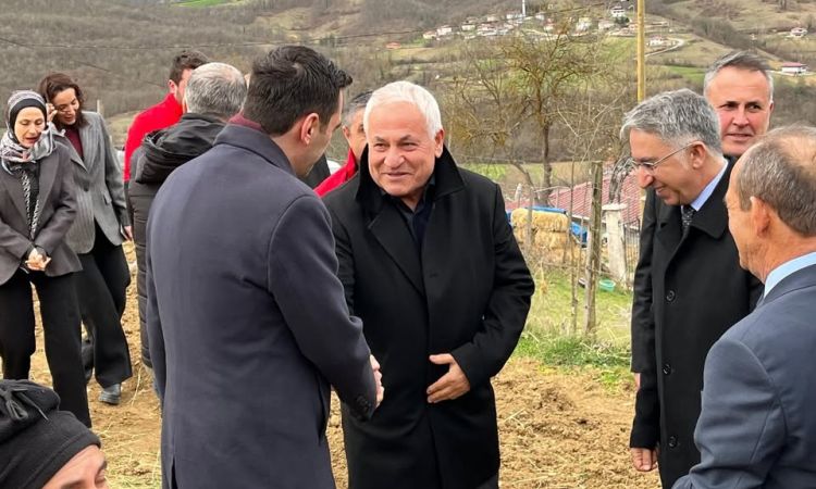 Kavak Ilçemizdeki Tıbbi Ve Aromatik Bitki Çeşitlil...