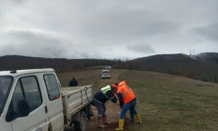 Can Dostlarımız Için Planladığımız Yeni Köpek Barı...