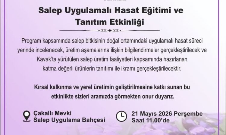 Kavak Kaymakamlığı, Kavak Belediye Başkanlığı Ve K...