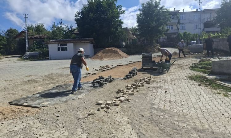 📍ortaköy Geyikalan Mahallemizde Kilit Parke Bakım ...