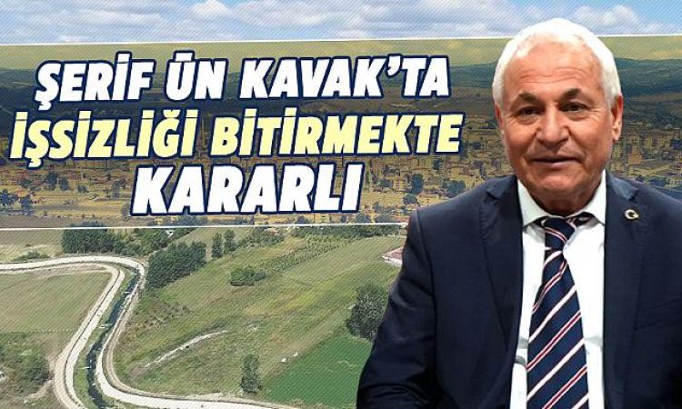 Https://www.gazetegercek.com.tr/serif-un-kavak-ta-...