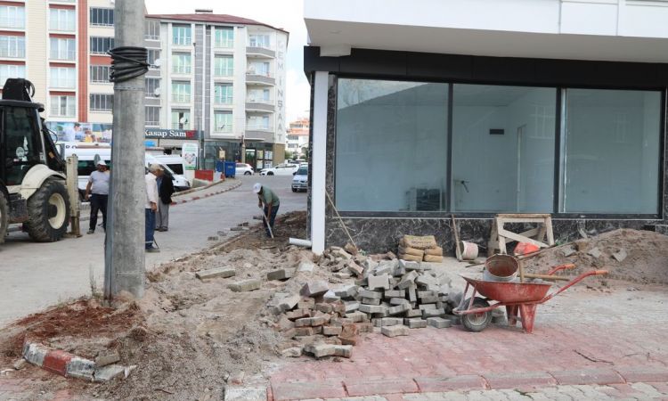 19 Mayıs Mahallesi Başaran Sokak