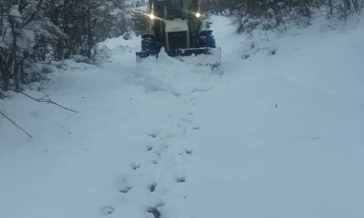 Akbelen Mahallesi Ağalık Sokak’ta Yaşayan Bir Vata...